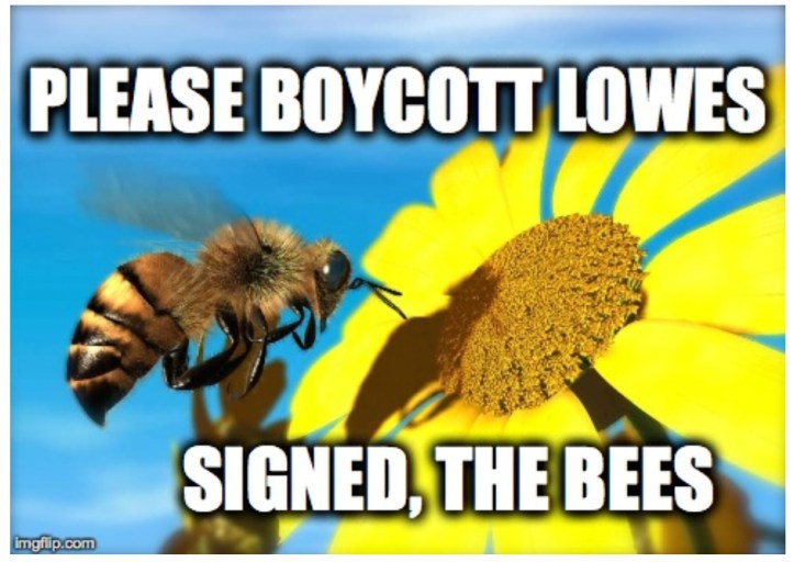 BEES
