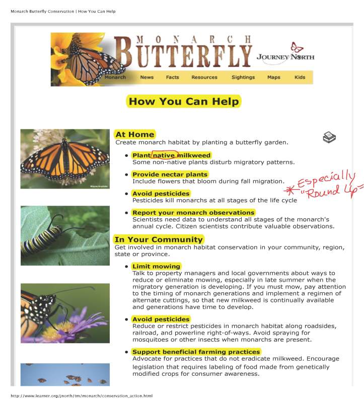 Monarch Butterfly Conservation | How You Can Help_Page_1