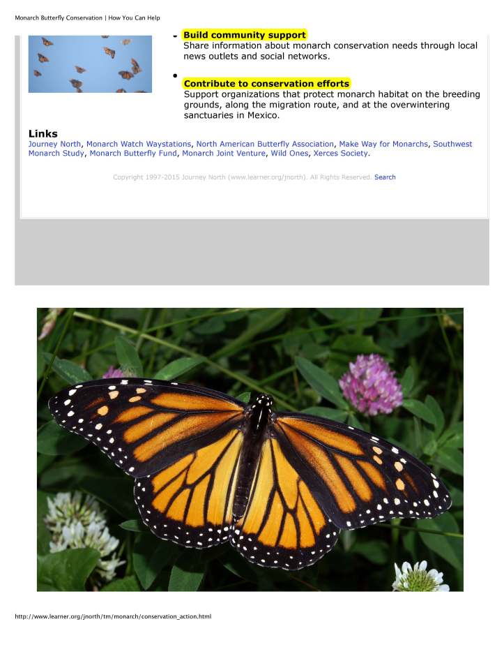 Monarch Butterfly Conservation | How You Can Help_Page_2