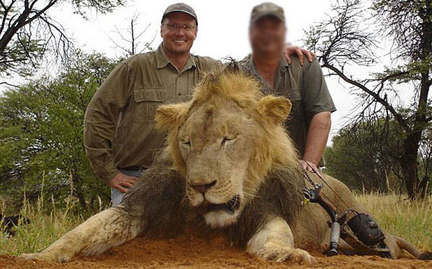 walter-palmer-lion-NOT-Cecil