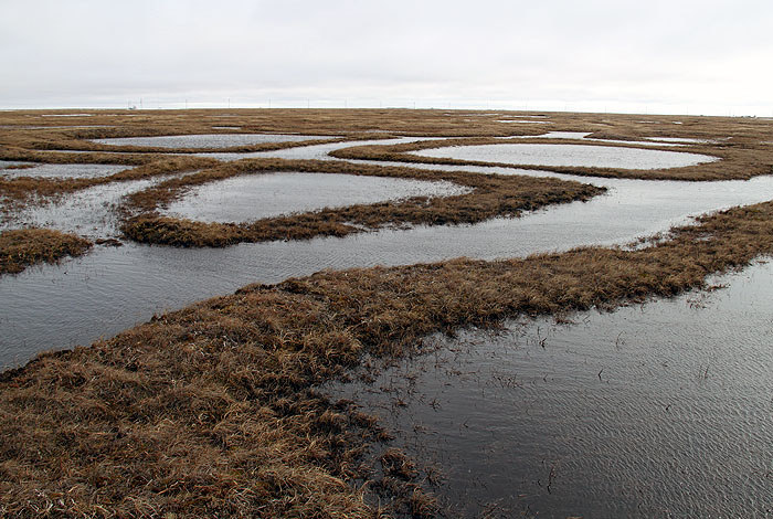 25690256192_831395df6e_b