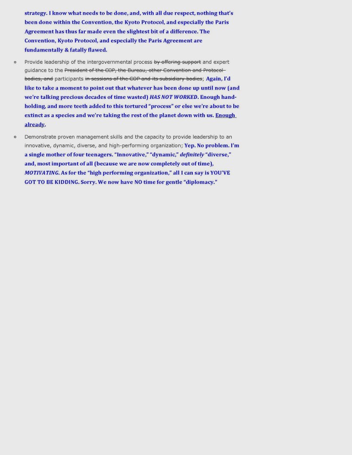 United Nations Secretary-General Ban Ki-moon_Page_2